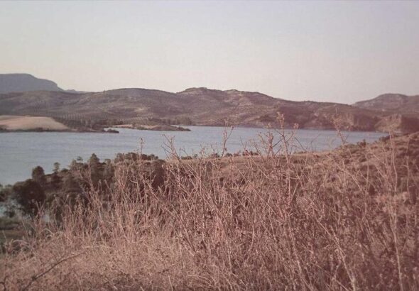 resized_19_fallback