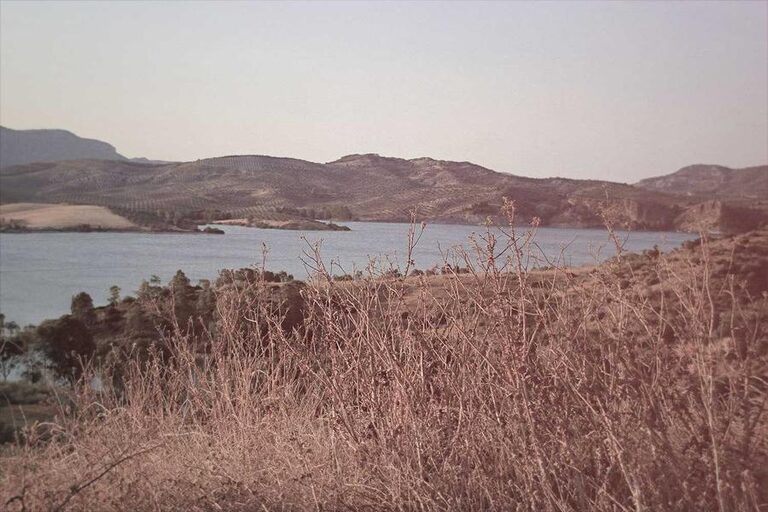 resized_19_fallback